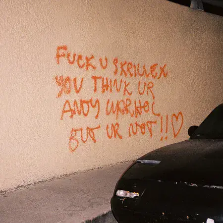 Fuck U Skrillex You Think Ur Andy Warhol But Ur Not By Skrillex album cover